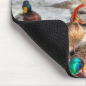 Vrouw aan land Mallard Duck Birdlover Wildlife Muismat (Hoek)