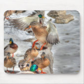 Vrouw aan land Mallard Duck Birdlover Wildlife Muismat (Voorkant)