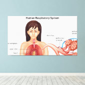 Vrouw ademhalingsstelsel canvas afdruk (Insitu (Houten vloer))