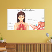 Vrouw ademhalingsstelsel canvas afdruk (Insitu (Woonkamer))