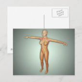 Vrouw, aders, zenuwstelsel en zenuwstelsel briefkaart (Voorkant / Achterkant)