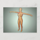 Vrouw, aders, zenuwstelsel en zenuwstelsel briefkaart (Voorkant)