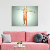 Vrouw, aders, zenuwstelsel en zenuwstelsel canvas afdruk (Insitu (Woonkamer))