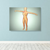 Vrouw, aders, zenuwstelsel en zenuwstelsel canvas afdruk (Insitu (Houten vloer))
