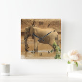 Vrouw Afrikaanse olifant in Tanzania, Afrika Vierkante Klok (Huis)