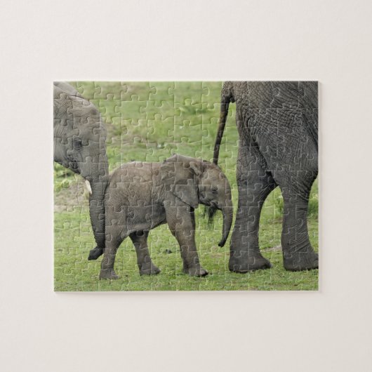 Vrouw Afrikaanse olifant met Baby Legpuzzel (Horizontaal)