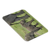 Vrouw Afrikaanse olifant met Baby Magneet (Rechterzijde)