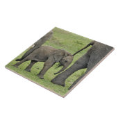 Vrouw Afrikaanse olifant met Baby Tegeltje (Zijkant)