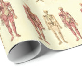Vrouw Anatomie Cadeaupapier (Rol Hoek)