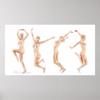 Vrouw Anatomie Poster