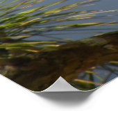 Vrouw Anhinga voor bijkantoor Poster (Hoek)