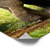 Vrouw Aziatische olifant moeder beschermt haar Bab Poster (Hoek)