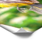 Vrouw Baltimore Oriole/Print Poster (Hoek)