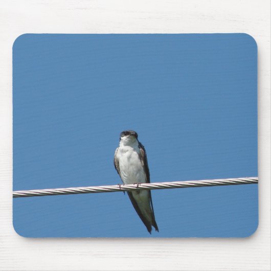 Vrouw Barn Swallow Muismat (Voorkant)