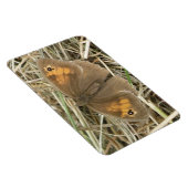 Vrouw beemdbruine vlindertop Magnet Magneet (Rechterzijde)