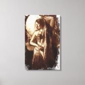 Vrouw Belly Dancer met Veil Canvas Afdruk (Voorkant)