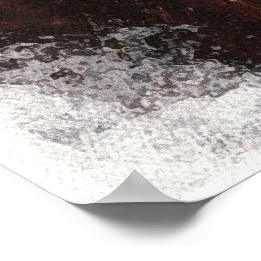 Vrouw Belly Dancer met Veil Poster (Hoek)