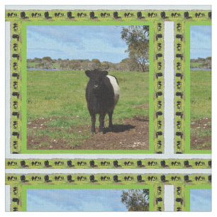 Vrouw Belted Galloway Cow Framed Stof