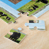 Vrouw Belted Galloway Koe Legpuzzel (Zijkant)