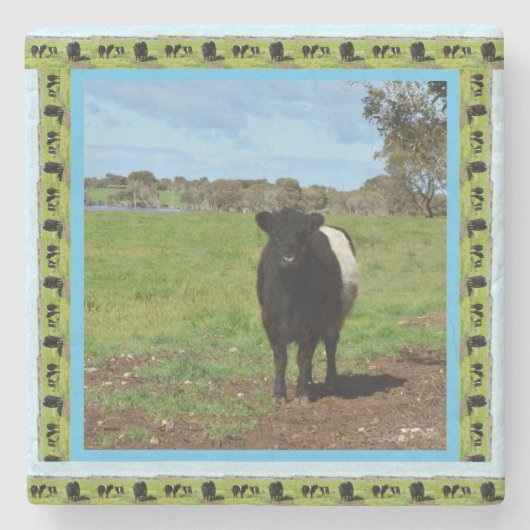 Vrouw Belted Galloway Koe Stenen Onderzetter (Voorkant)