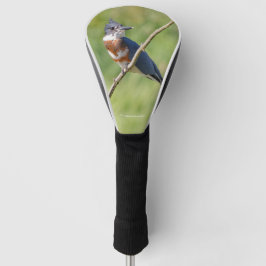 Vrouw Belted Kingfisher op een ledemaat Golfheadcover