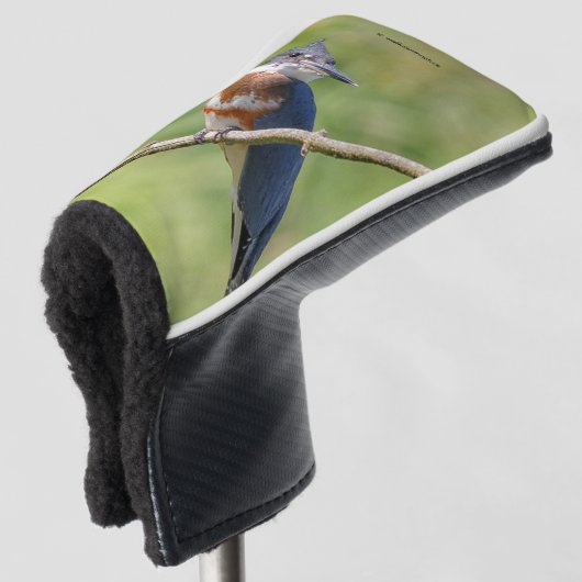 Vrouw Belted Kingfisher op een ledemaat Golfheadcover (3/4 voorkant)