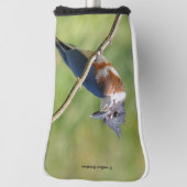 Vrouw Belted Kingfisher op een ledemaat Golfheadcover (Draai 90)