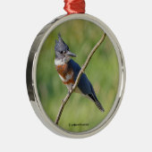 Vrouw Belted Kingfisher op een ledemaat Metalen Ornament (Rechts)