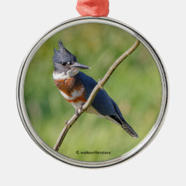 Vrouw Belted Kingfisher op een ledemaat Metalen Ornament