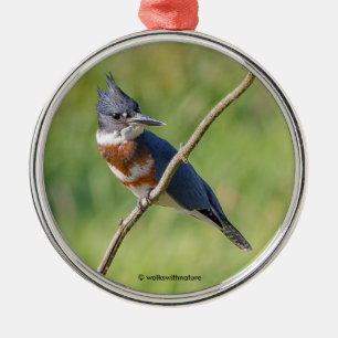 Vrouw Belted Kingfisher op een ledemaat Metalen Ornament