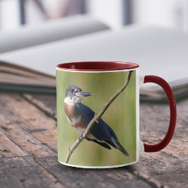 Vrouw Belted Kingfisher op een ledemaat Mok