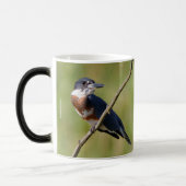 Vrouw Belted Kingfisher op een ledemaat Mok (Links)