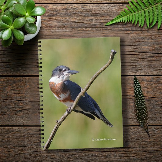 Vrouw Belted Kingfisher op een ledemaat Notitieboek