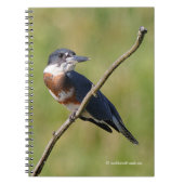 Vrouw Belted Kingfisher op een ledemaat Notitieboek (Voorkant)