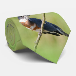 Vrouw Belted Kingfisher op een ledemaat Stropdas