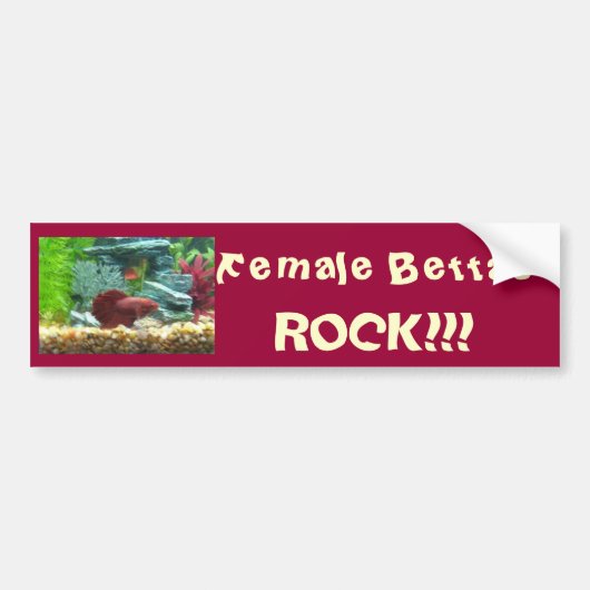 Vrouw Bettas Rock! Bumpersticker (Voorkant)