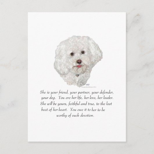 Vrouw Bichon Frise Keepomwille Briefkaart (Voorkant)
