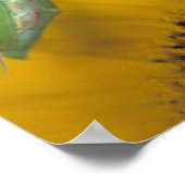 Vrouw bidt mantis met eizakje op poster (Hoek)