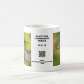 Vrouw Black Chin Hummingbird Mok (Center)