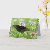 Vrouw Black Swallowtail Kaart (Gele Bloem)