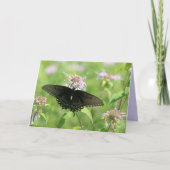 Vrouw Black Swallowtail Kaart (Voorkant)