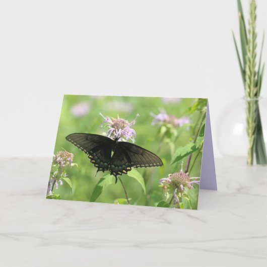 Vrouw Black Swallowtail Kaart (Voorkant)