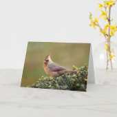 Vrouw Blanco briefkaart voor noordelijke kardinaal (Gele Bloem)