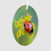 vrouw bovenop ornament (voorkant)