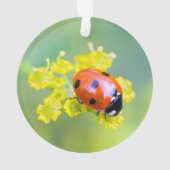 vrouw bovenop ornament (achterkant)