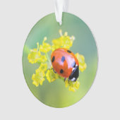 vrouw bovenop ornament (voorkant)