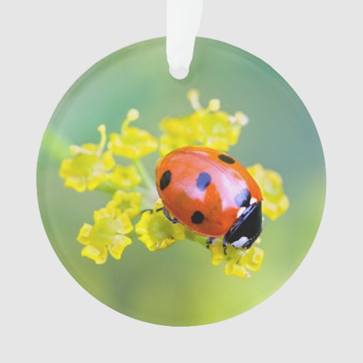 vrouw bovenop ornament (voorkant)