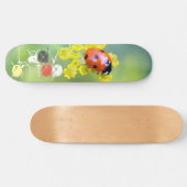 vrouw bovenop skateboard (Horizontaal)