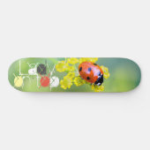 vrouw bovenop skateboard (Horizontaal)