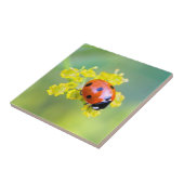 vrouw bovenop tegeltje (Zijkant)